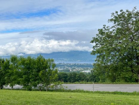 img-1062-1717227244582_orig